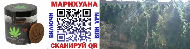 Печенье с ТГК конопля цены наркотик Крым