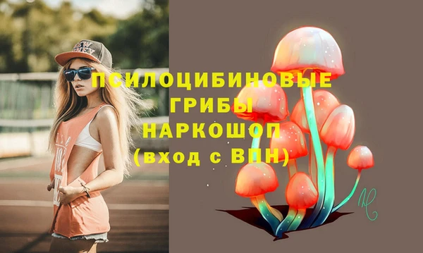 экстази Бородино