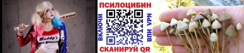 Псилоцибиновые грибы ЛСД  Крым 